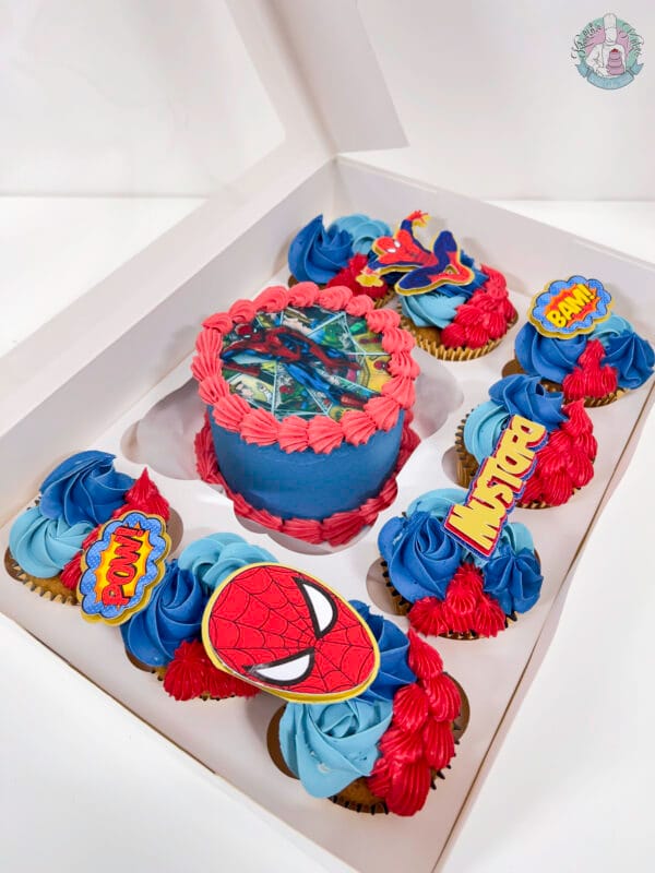 Spider Man Bento cake