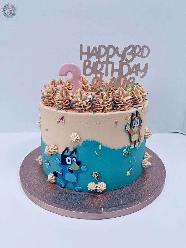 Bluey Cake Birmingham